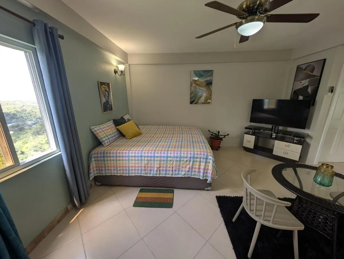 Zizzi Lux Delight Apartment Gros Islet
